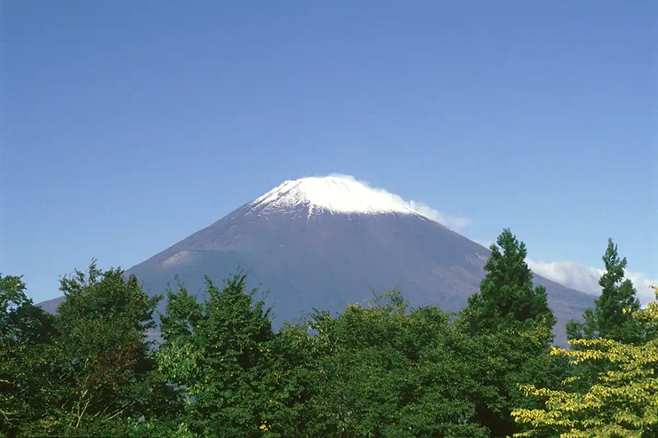 Background
